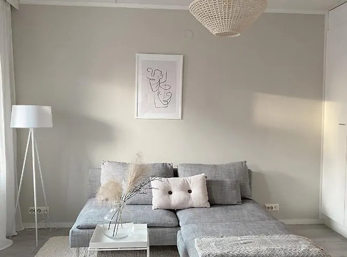 Modern One Bedroom Apartment With Sauna Near Airport